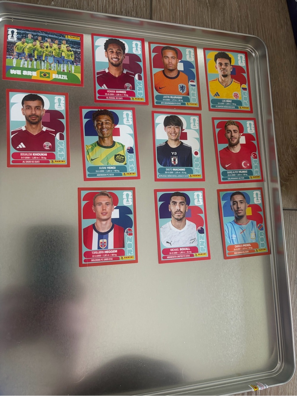 Panini World Cup Red Border Player Stickers